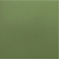 Керамическая плитка Rivoli Green 20x20