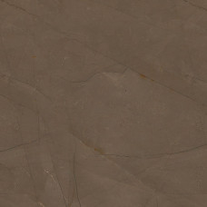Керамическая плитка Pulpis Brown W M  NR Glossy 1 31x61