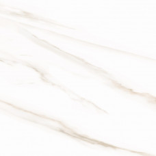WT9ESR00 Керамическая плитка Esprit Calacatta 250х500_1,625