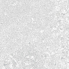 Клинкер Юта 1 светло-серый 6,5х24,5